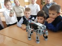 «Роботекс» в гостях у школы»