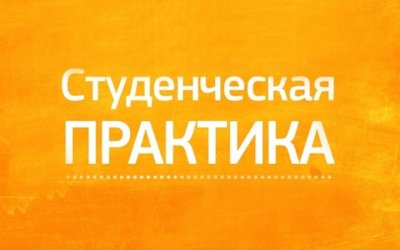 Практика студентов  Петушинского  промышленно - гуманитарного колледжа